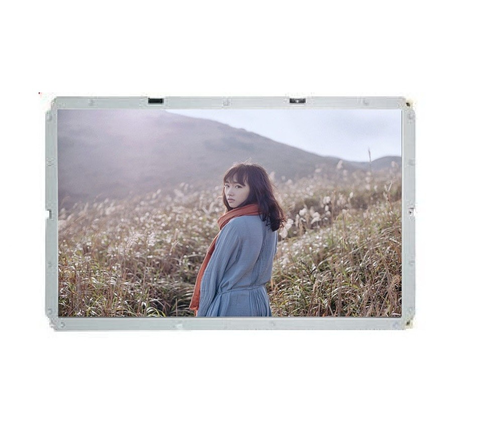 43 inch High Bright TFT Display